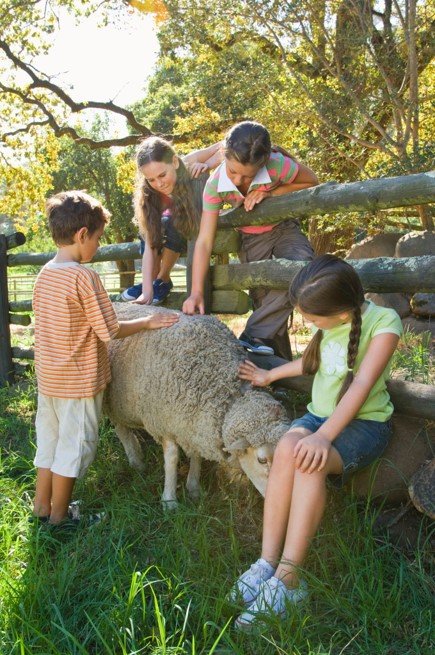 Travelers enjoying rest stop picnic space